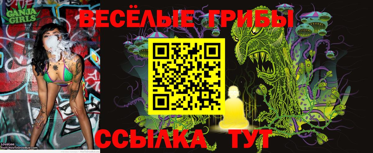 Галлюциногенные грибы MAGIC MUSHROOMS Фрязино