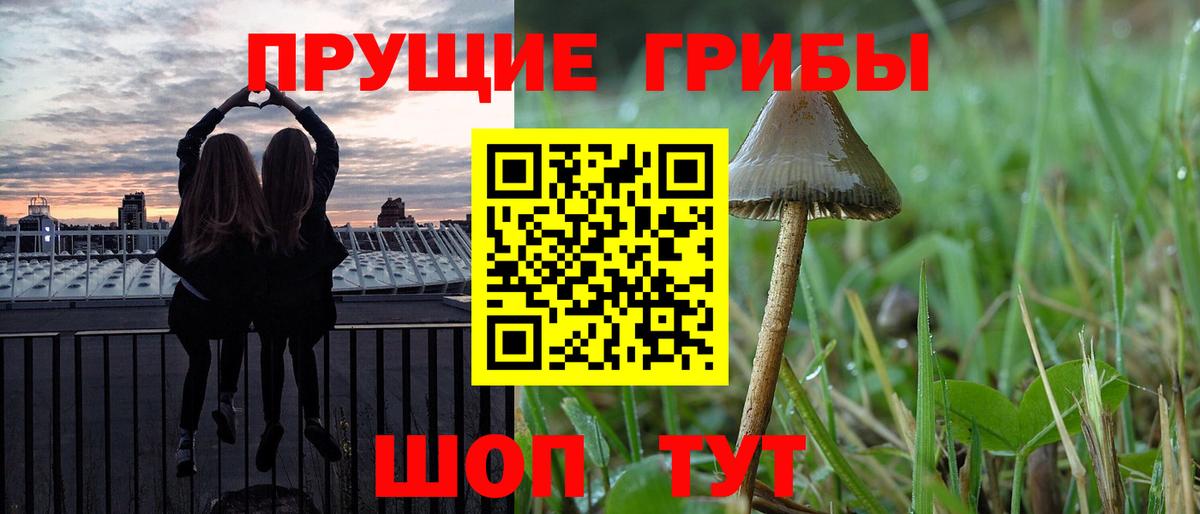 магазин продажи наркотиков  Вход с VPN  Фрязино  Галлюциногенные грибы мицелий 